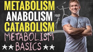 Metabolism Anabolism and Catabolism [upl. by Jempty]