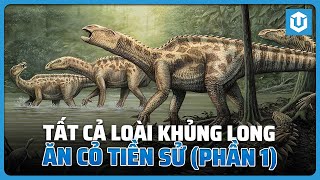 TẤT CẢ KHỦNG LONG ĂN CỎ CỦA THẾ GIỚI KHỦNG LONG PHẦN 1 ORNITHOPOD [upl. by Nnyliram]