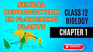 Class 12th BIOLOGY  CHAPTER 1  Sexual Reproduction in flowering plants  ONE SHOT std12biology [upl. by Danit780]