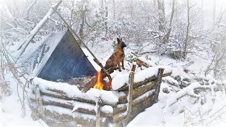 Caught in a Storm  Winter Camping in a Snowstorm with My Dog  Bushcraft Trip  Survival [upl. by Virgil]