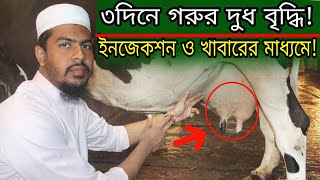 অল্প সময়ে গরুর দুধ বৃদ্ধি করুন ঔষুধ ও খাবারের মাধ্যমে।Increase cows milk Gorur Dudh Baranor upay [upl. by Acinet]