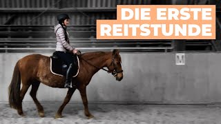 1 Reitstunde nach 15 Jahren OMG Reiten für Erwachsene  Yvonne Mouhlen Vlog [upl. by Yrohcaz]