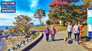 Vancouver Walk 🇨🇦  Davie Village  English Bay Beach  Stanley Park [upl. by Oijile]