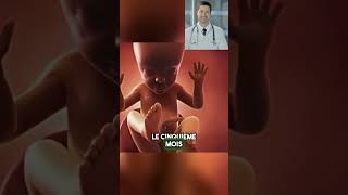 L’évolution en 9 mois du bébé pendant la grossesse 👶 bebe foetus grossesse enceinte futureme [upl. by Noswad640]