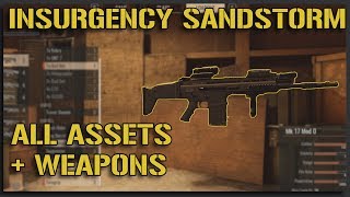 Insurgency Sandstorm gameplay [upl. by Teraj]