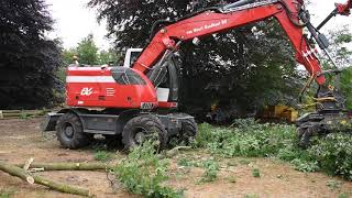 Bomen Rooien Met verreiker en mobiele kraan [upl. by Htidirem]