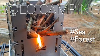 바닷가 해변 작은 숲속에서 솔로캠핑  Bushbox LF Titanium amp Firebox Stove Freestyle 장단점 [upl. by Nagaet]