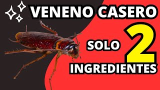 Receta de VENENO CASERO PARA CUCARACHAS con solo 2 Ingredientes [upl. by Mukerji]