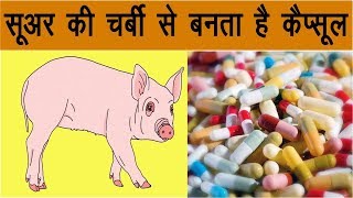 कैप्सूल खाने से पहले ये वीडियो जरूर देख लेना capsule kaise banta hai [upl. by Starr]