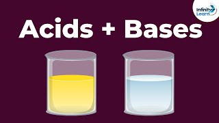 Acids and Bases  Reaction with each other  Dont Memorise [upl. by Aniat]