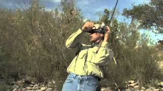 Bobber n Jig Steelhead Fishing on the Clearwater River [upl. by Aicnetroh]