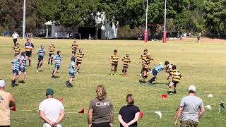 Bond Rugby Carnival 2023  Yatala Black Rams V Helensvale Hogs [upl. by Frederic]