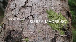 Alfons Dornauer in Sierra Madre 8c [upl. by Mauretta]