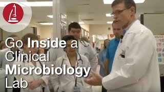 Go Inside a Clinical Microbiology Lab [upl. by Yodlem]