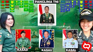 Jenjang Karir TNI  Pangkat Jabatan Tugas dan Besaran Gaji Tentara AD AU dan AL Republik Indonesia [upl. by Ayitahs]