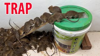 Mouse trap vidoe \ Mouse trap with paint bucket \ Create a good mouse trap at home [upl. by Black]