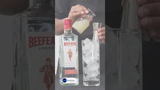 Classic Gin Rickey in 60 Seconds  Light amp Refreshing Cocktail [upl. by Naam987]