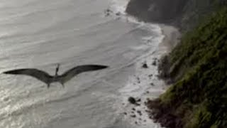 Documentaire 1 ► Tyrannotarbosaurus rex VS Therizinosaurus [upl. by Kolodgie]