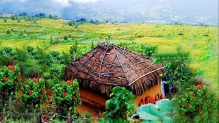 Munnar kerala tourism video  aerial view [upl. by Lash51]