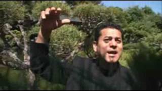 Massoud Wafa  Hum Yaar Hain Tumhare  Bollywood Song Afghan Singer [upl. by Nnylylloh]