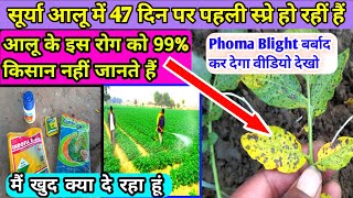 आलू में phoma blight कैसे रोके  aalu ki kheti  indofil z78  thiomathoxium 25 WG  zineb  aalu [upl. by Odlopoel481]