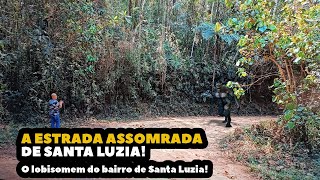 A ESTRADA ASSOMBRADA DE SANTA LUZIA  Mistérios da Roça [upl. by Eyak846]