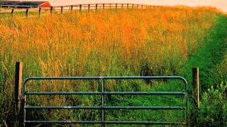 Grazing in the Grass by Hugh Masekela \ Video by Chris Burke [upl. by Wallford]