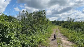 Exploring the Camden East Alvar in Summer  Napanee Plain Natural Area [upl. by Ivanah]