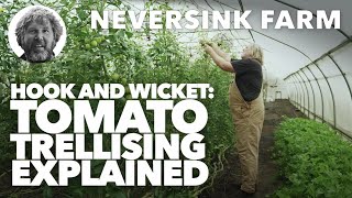 Hook and Wicket Tomato Trellising Explained [upl. by Htedirem]