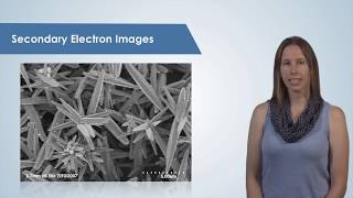 Introduction to the Scanning Electron Microscope SEM [upl. by Pizor]