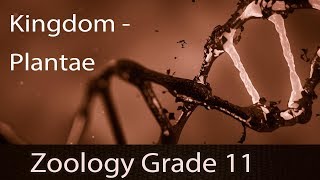 Kingdom Plantae Five Kingdom Classification  Introduction  Characteristics  Classification [upl. by Soiritos7]