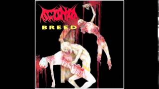 Agonia  Breed Full EP [upl. by Abbot]