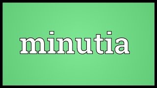 Minutia Meaning [upl. by Xylia]