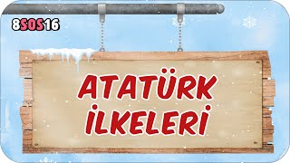 Atatürk İlkeleri 📕 tonguçCUP 2Sezon  8SOS16 2024LGS [upl. by Hultgren]