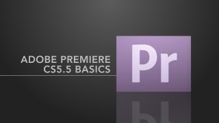 Adobe Premiere Pro Basics [upl. by Anson]