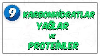 9 Sınıf Biyoloji  Enerji Veren Organik Bileşikler  Karbonhidratlar Yağlar Proteinler [upl. by Jez198]