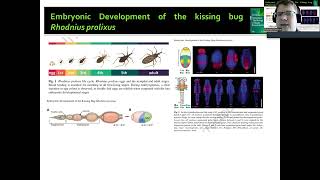 IntroEcoEvoDevo Parte 1 [upl. by Yelnoc]