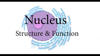 What is Nucleus   Structure and Function of Nucleus  Nucleolus  Nucleoplasm  elearning [upl. by Bolger790]