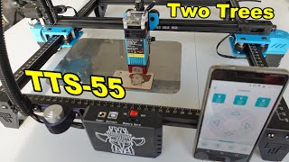 Two Trees TTS55 Laser engraver review with assembling instructions and test engravings cuttings [upl. by Nnednarb]