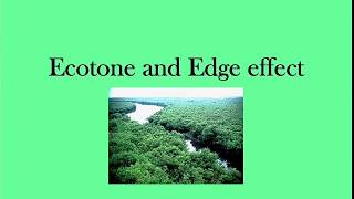 Ecotone and Edge effect  envirocademy [upl. by Ennayllek]