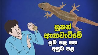 හූනන් ඇඟවැටීමේ සුබ අසුබ  Hunan Aga Watime Palapala [upl. by Lexerd]