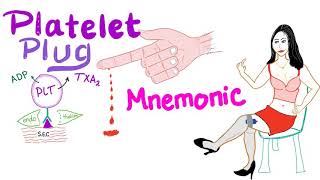 Primary Hemostasis  Platelet Plug amp Blood Clot Mnemonic [upl. by Wilek]