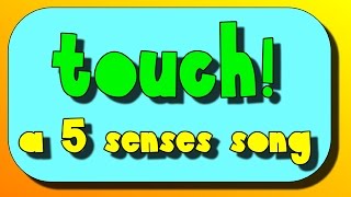 Touch A Five Senses Song [upl. by Gaither135]