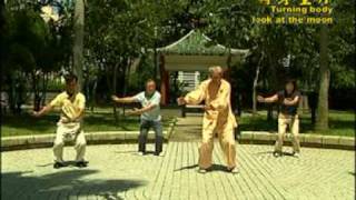 18 Chi Quong Shibashi Tai Chi Qigong 18 [upl. by Burkley296]