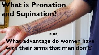 What is Pronation and Supination of the Forearm [upl. by Sivat]