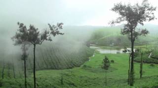 Fog Covering the tea estates of VALPARAI A perfect honeymoon spot [upl. by Ahsenat]