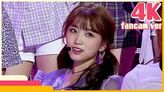 4K amp 직캠 IZONE  La Vie en Rose Yabuki Nako Show Music Core 20181117 [upl. by Alleusnoc]