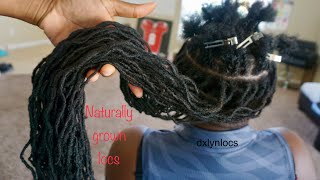 REATTACHING LONG NATURAL LOCS  NBN DAY 8 [upl. by Morton53]