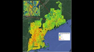 SEMINAR Forest inventories for New England using LiDAR and artificial intelligence [upl. by Hulda]