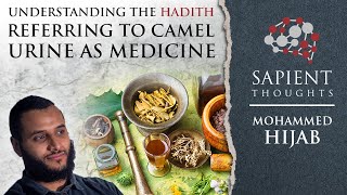 Sapient Thoughts 18 Camel urine as medicine  Mohammed Hijab [upl. by Schnapp]